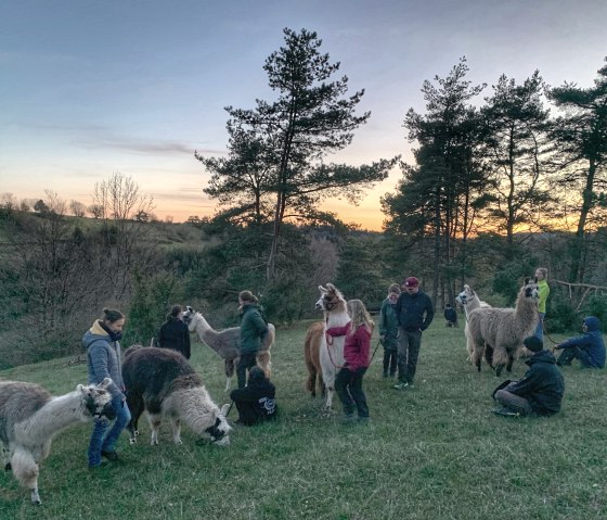 Mittsommer 3, © eifelnomaden, J. Baums Mittsommer 3, © eifelnomaden, J. Baums