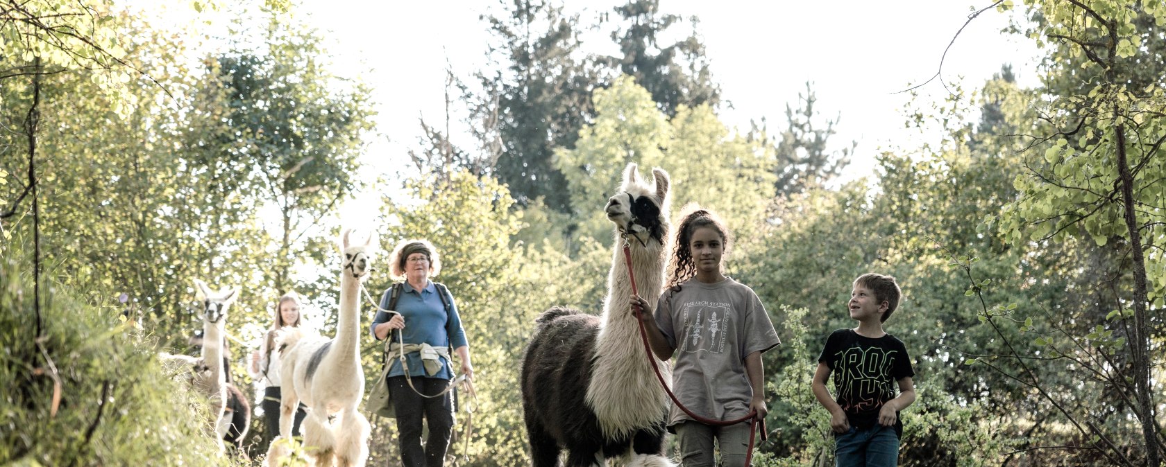 Wanderung, © eifelnomaden, J. Baums Wanderung, © eifelnomaden, J. Baums