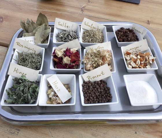 Die Wilde Möhre (3), © R. Heinrichs Die Wilde Möhre (3), © R. Heinrichs