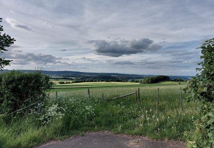 Blick östliche Kalkmulde Büdesheim, © Tourist-Information Prümer Land Elke Dahm Blick östliche Kalkmulde Büdesheim, © Tourist-Information Prümer Land Elke Dahm