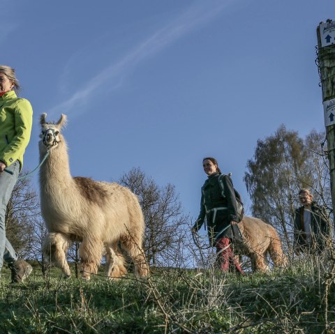 Wanderung 2, © eifelnomaden, J. Baums Wanderung 2, © eifelnomaden, J. Baums