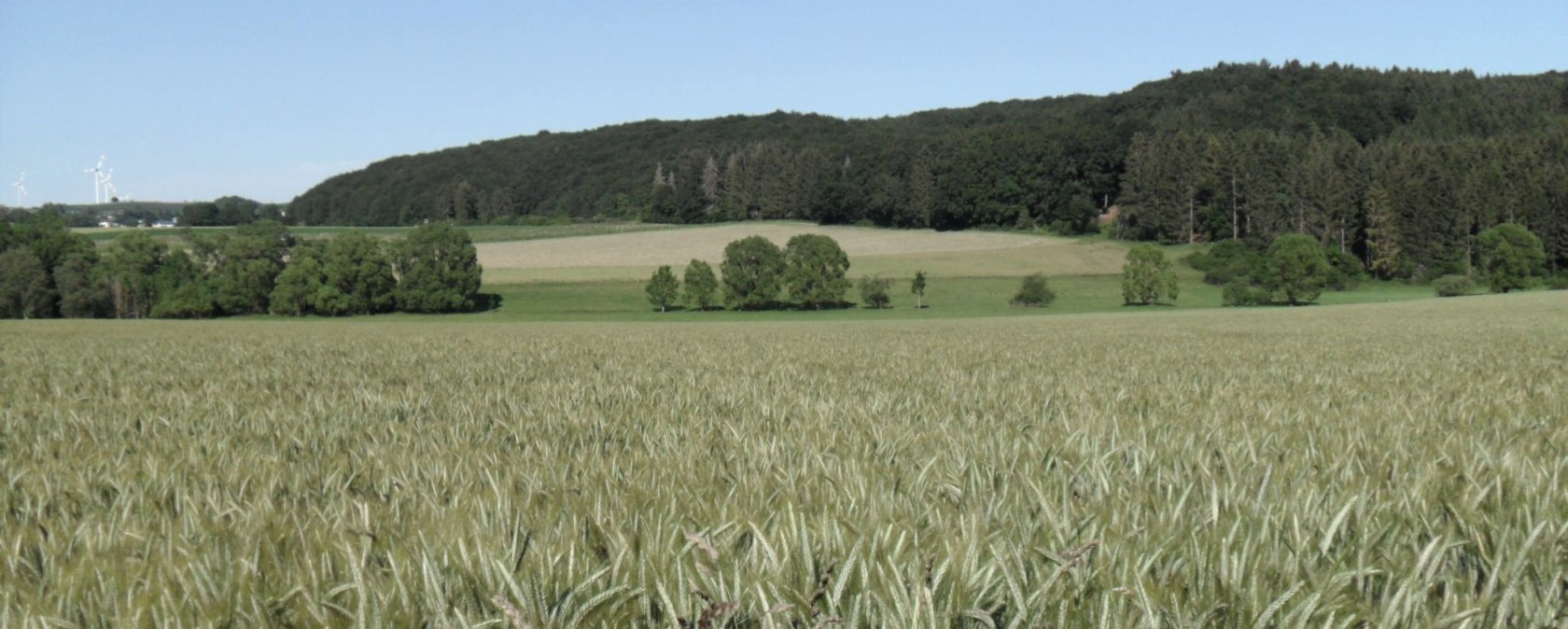 Wandern rund um Rommersheim, © Tourist-Information Prümer Land Wandern rund um Rommersheim, © Tourist-Information Prümer Land