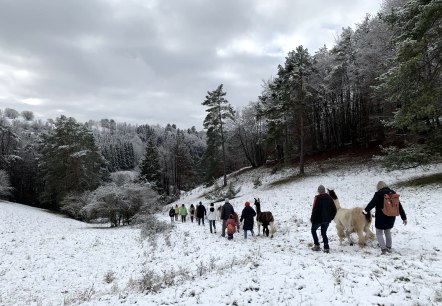 Neujahrswanderung 2, © eifelnomaden, J. Baums Neujahrswanderung 2, © eifelnomaden, J. Baums