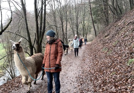 JGA Winter 2, © eifelnomaden, J. Baums JGA Winter 2, © eifelnomaden, J. Baums