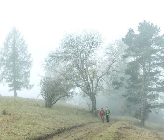 Mystical atmosphere in Schönecker Schweiz, © Eifel Tourismus GmbH, D. Ketz Mystical atmosphere in Schönecker Schweiz, © Eifel Tourismus GmbH, D. Ketz