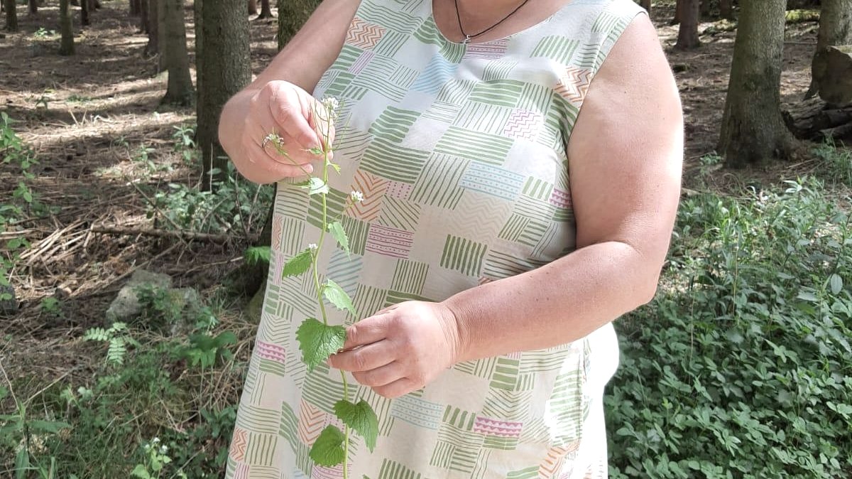 Die Wilde Möhre, © R. Heinrichs Die Wilde Möhre, © R. Heinrichs