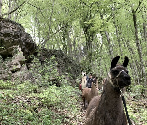 Magische Orte 2, © eifelnomaden, J. Baums Magische Orte 2, © eifelnomaden, J. Baums