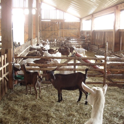 Hof Steinrausch Hof Steinrausch