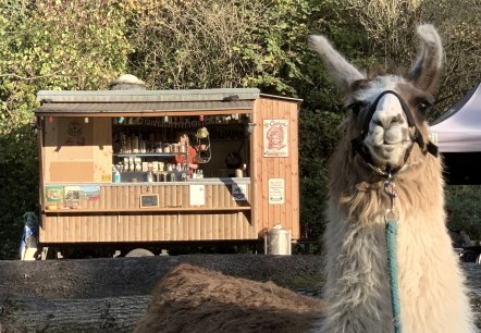 Schlemmen 2, © eifelnomaden, J. Baums Schlemmen 2, © eifelnomaden, J. Baums