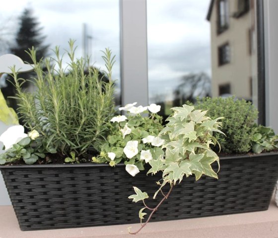 Impressionen Impressionen