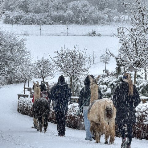 Winterwanderung, © eifelnomaden, J. Baums Winterwanderung, © eifelnomaden, J. Baums