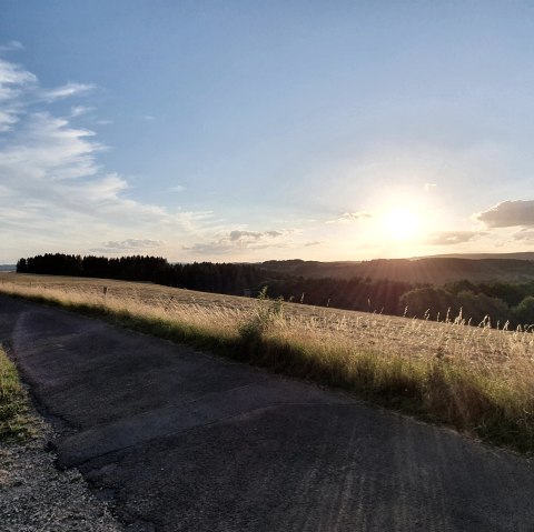 Mehlental, © S. Wiesen Mehlental, © S. Wiesen