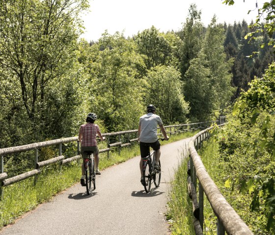 Zwei Radfahrer fahren auf einem asphaltierten Weg durch eine grüne, bewaldete Landschaft. Der Weg ist von Bäumen gesäumt., © Eifel Tourismus GmbH, D. Ketz Zwei Radfahrer fahren auf einem asphaltierten Weg durch eine grüne, bewaldete Landschaft. Der Weg ist von Bäumen gesäumt., © Eifel Tourismus GmbH, D. Ketz