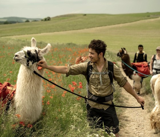 Eifelnomaden, © Tourist-Information Prümer Land Eifelnomaden, © Tourist-Information Prümer Land