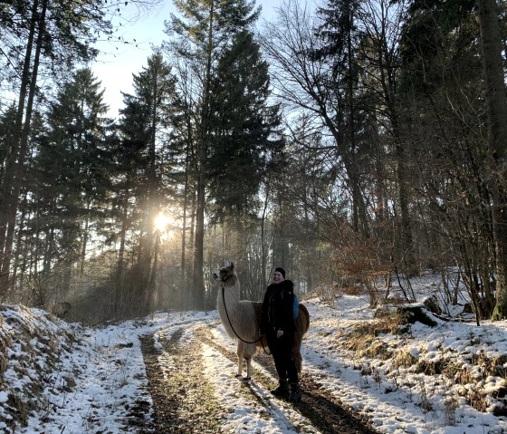 Winterwanderung Wald, © eifelnomaden, J. Baums Winterwanderung Wald, © eifelnomaden, J. Baums