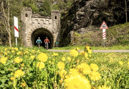 Zwei Radfahrer auf einem Weg vor einem alten Bahntunnel, umgeben von blühendem Löwenzahn und Verkehrsschildern., © Eifel Tourismus GmbH, Dominik Ketz Zwei Radfahrer auf einem Weg vor einem alten Bahntunnel, umgeben von blühendem Löwenzahn und Verkehrsschildern., © Eifel Tourismus GmbH, Dominik Ketz