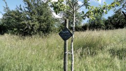 Apfelbaumpatenschaft, © GesundLand Vulkaneifel GmbH Apfelbaumpatenschaft, © GesundLand Vulkaneifel GmbH