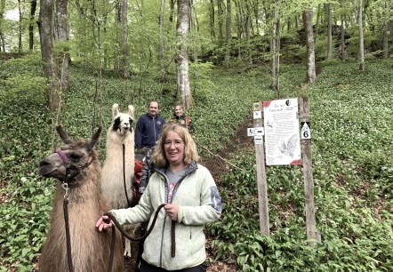 Bärlauchzeit 2, © eifelnomaden, J. Baums Bärlauchzeit 2, © eifelnomaden, J. Baums