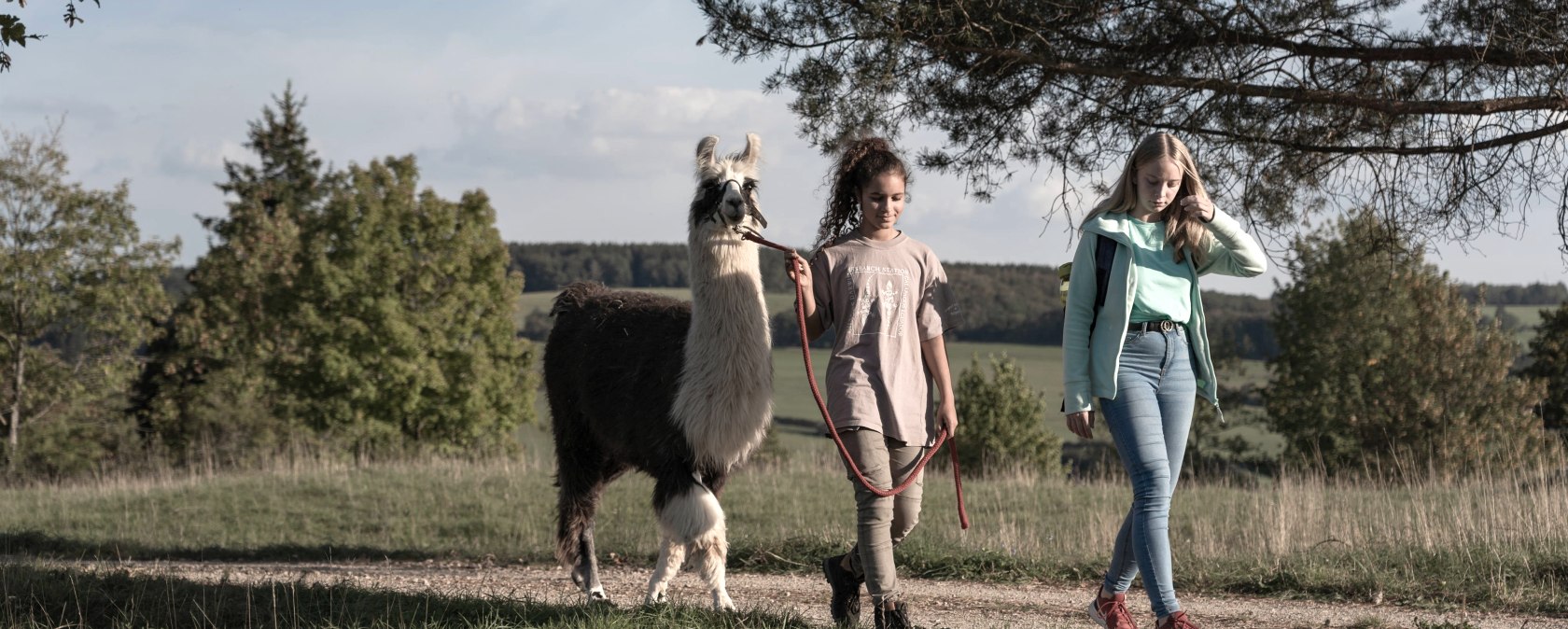 Lama-Wanderung durch die Schönecker Schweiz, © Eifelnomaden, Julietta Baums Lama-Wanderung durch die Schönecker Schweiz, © Eifelnomaden, Julietta Baums
