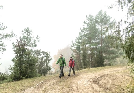 Unterwegs in der Schönecker Schweiz, © Eifel Tourismus GmbH, Dominik Ketz Unterwegs in der Schönecker Schweiz, © Eifel Tourismus GmbH, Dominik Ketz