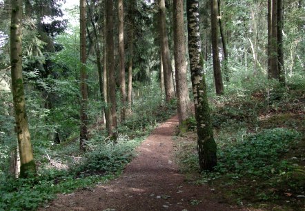 Tettenbusch Prüm 1, © Tourist-Information Prümer Land, Sebastian Wiesen Tettenbusch Prüm 1, © Tourist-Information Prümer Land, Sebastian Wiesen