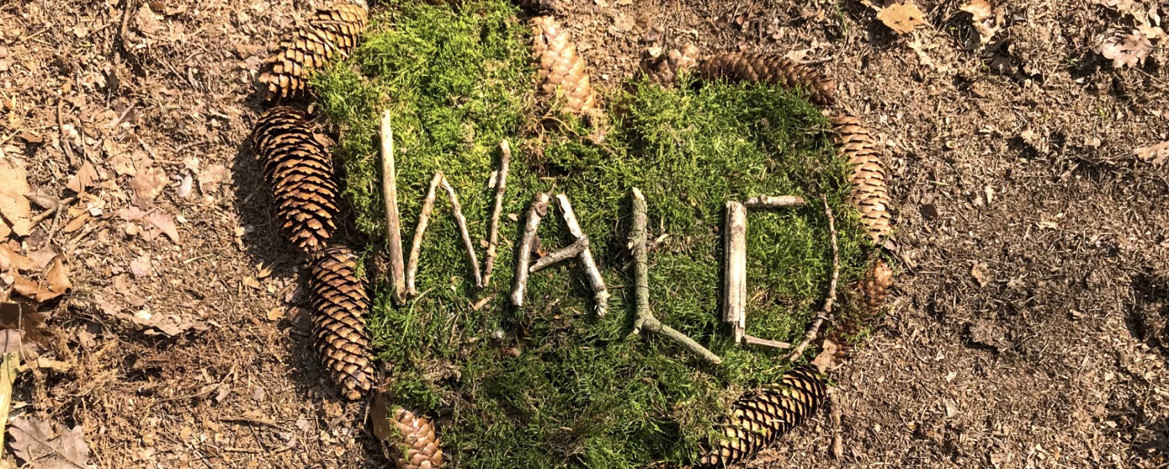 Ganz viel Liebe für den Wald Ganz viel Liebe für den Wald