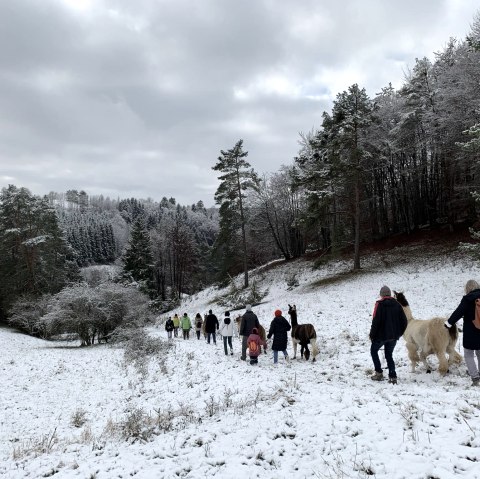 Neujahrswanderung 2, © eifelnomaden, J. Baums Neujahrswanderung 2, © eifelnomaden, J. Baums