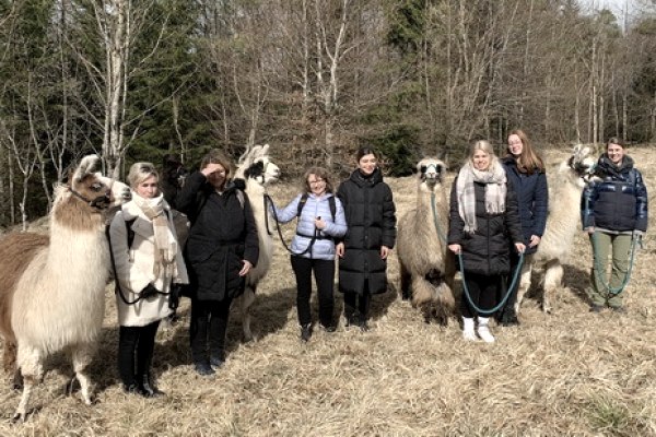 Bachelorette party with llamas: fall hike Bachelorette party with llamas: fall hike