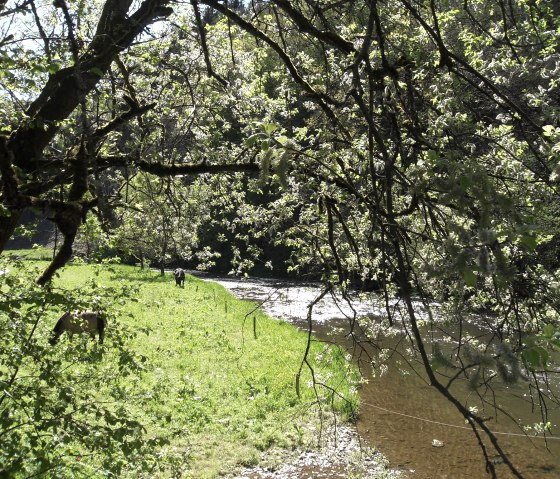 Landschap Eifel, © Eckhard Maroska Landschap Eifel, © Eckhard Maroska