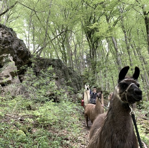 Magische Orte 2, © eifelnomaden, J. Baums Magische Orte 2, © eifelnomaden, J. Baums