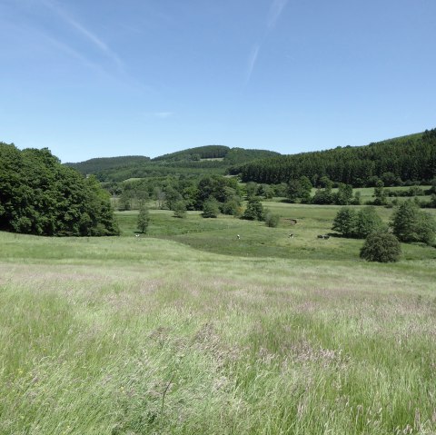 Mehlental, © Tourist-Information Prümer Land Mehlental, © Tourist-Information Prümer Land