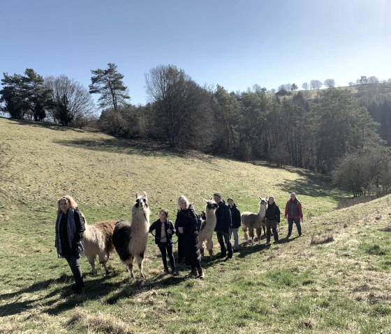 Eifelnomaden Unterwegs in der Kalkmulde, © Eifelnomaden, Julietta Baums Eifelnomaden Unterwegs in der Kalkmulde, © Eifelnomaden, Julietta Baums