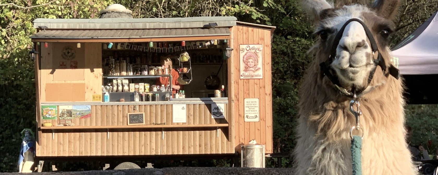 Eifelnomaden Nice Corner Schönecker Schweiz, © Eifelnomaden, Julietta Baums Eifelnomaden Nice Corner Schönecker Schweiz, © Eifelnomaden, Julietta Baums