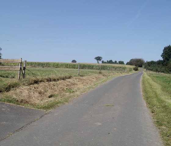 Rundweg Rundweg