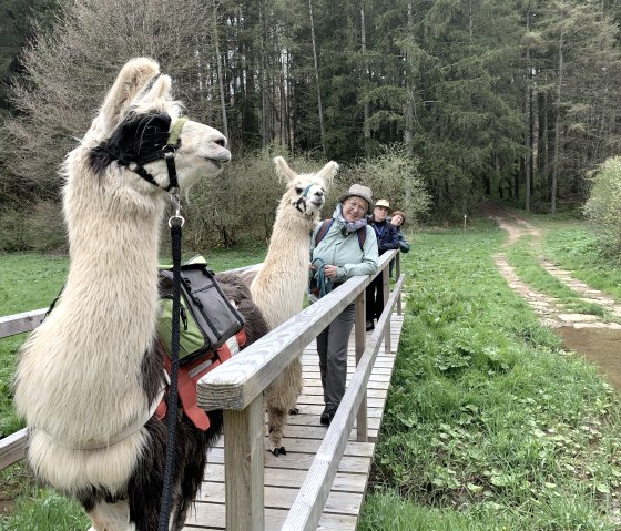 Magische Orte 3, © eifelnomaden, J. Baums Magische Orte 3, © eifelnomaden, J. Baums