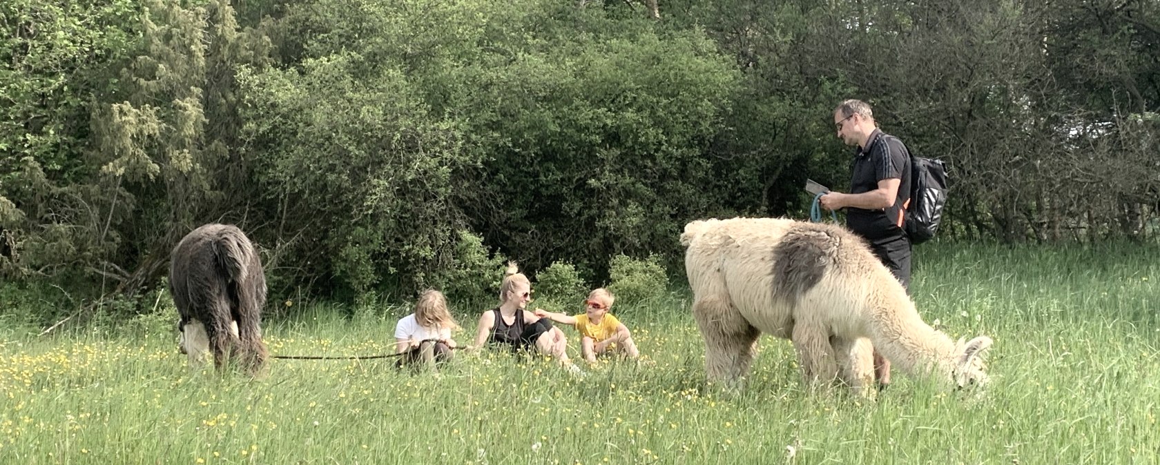 Lama-Abentuer Familien, © eifelnomaden, J. Baums Lama-Abentuer Familien, © eifelnomaden, J. Baums