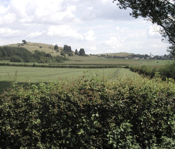 Landschaft bei Schwirzheim, © Tourist-Information Prümer Land Landschaft bei Schwirzheim, © Tourist-Information Prümer Land