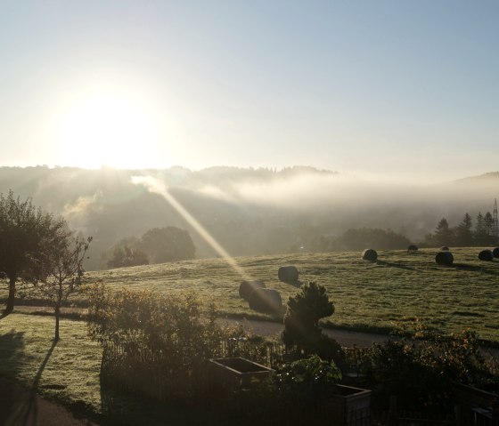 Aussengelände Aussengelände