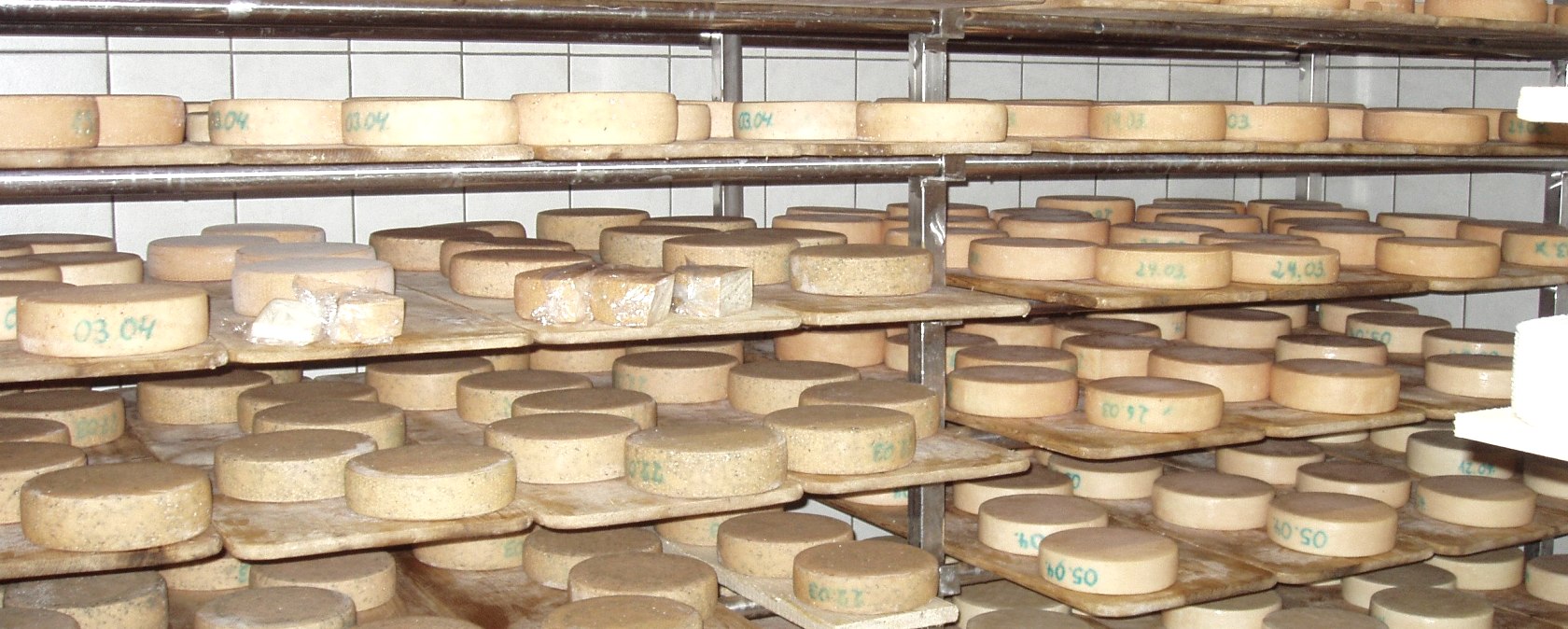 Käserei Hof Steinrausch, © Hof Steinrausch Käserei Hof Steinrausch, © Hof Steinrausch