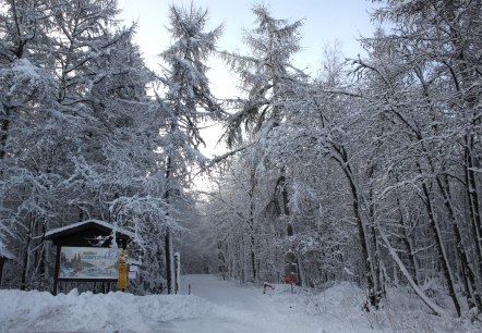 Zuweg zur Wolfsschlucht, © Tourist-Information Prümer Land Zuweg zur Wolfsschlucht, © Tourist-Information Prümer Land