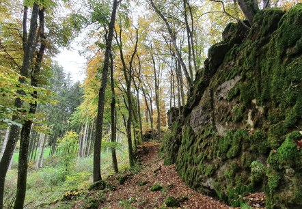Schönecker Schweiz, © TI Prümer Land, S. Wiesen Schönecker Schweiz, © TI Prümer Land, S. Wiesen