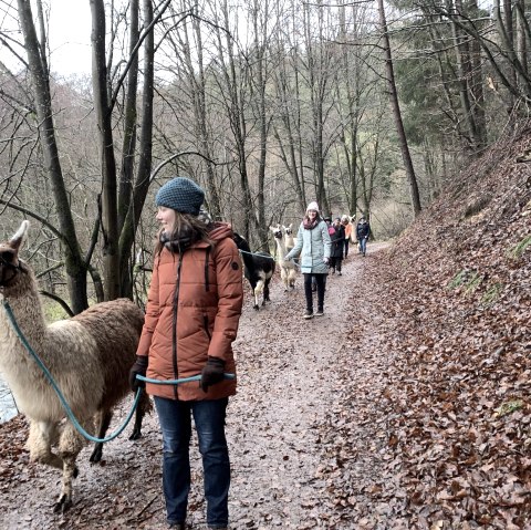 JGA Winter 2, © eifelnomaden, J. Baums JGA Winter 2, © eifelnomaden, J. Baums