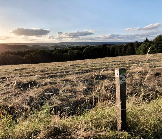 Mehlental Wandern WW8 (8), © Tourist-Information Prümer Land Sebastian Wiesen Mehlental Wandern WW8 (8), © Tourist-Information Prümer Land Sebastian Wiesen