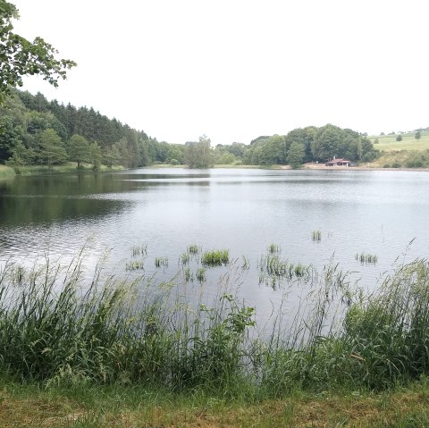 Barrierefreier Rundgang Stausee Auw_Indra Schaperdoth (21), © Indra Schaperdoth Barrierefreier Rundgang Stausee Auw_Indra Schaperdoth (21), © Indra Schaperdoth