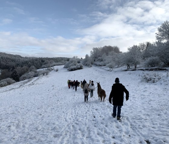 Winterwanderung 3, © eifelnomaden, J. Baums Winterwanderung 3, © eifelnomaden, J. Baums