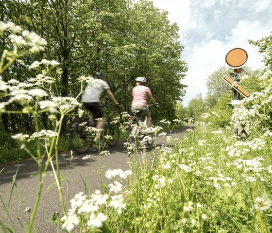 Zwei Radfahrer fahren auf einem asphaltierten Weg, umgeben von grüner Vegetation und weißen Blumen. Ein altes Bahnsignal ist sichtbar., © Eifel Tourismus GmbH, D. Ketz Zwei Radfahrer fahren auf einem asphaltierten Weg, umgeben von grüner Vegetation und weißen Blumen. Ein altes Bahnsignal ist sichtbar., © Eifel Tourismus GmbH, D. Ketz