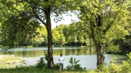 Holzmaar, © GesundLand Vulkaneifel GmbH Holzmaar, © GesundLand Vulkaneifel GmbH