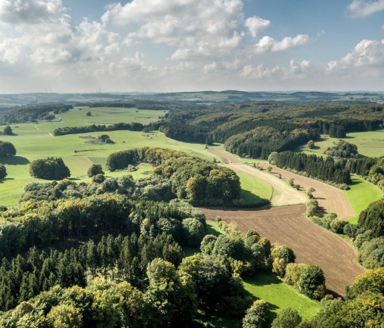 Ausblick bei der Wanderung auf dem Schneifel-Pfad, © Eifel Tourismus GmbH, D. Ketz Ausblick bei der Wanderung auf dem Schneifel-Pfad, © Eifel Tourismus GmbH, D. Ketz