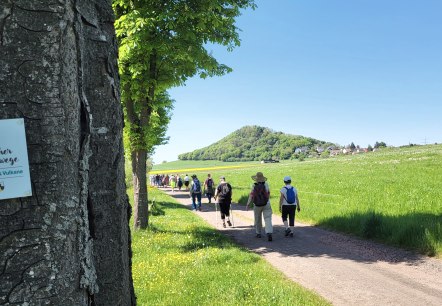 20250501_125057, © Tourist-Info Wittlich Stadt&Land 20250501_125057, © Tourist-Info Wittlich Stadt&Land