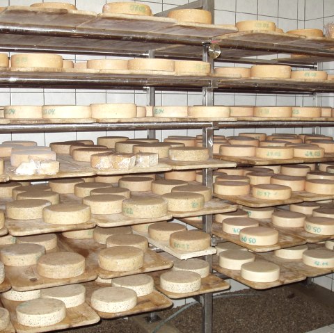 Käserei Hof Steinrausch, © TI Prüm Käserei Hof Steinrausch, © TI Prüm